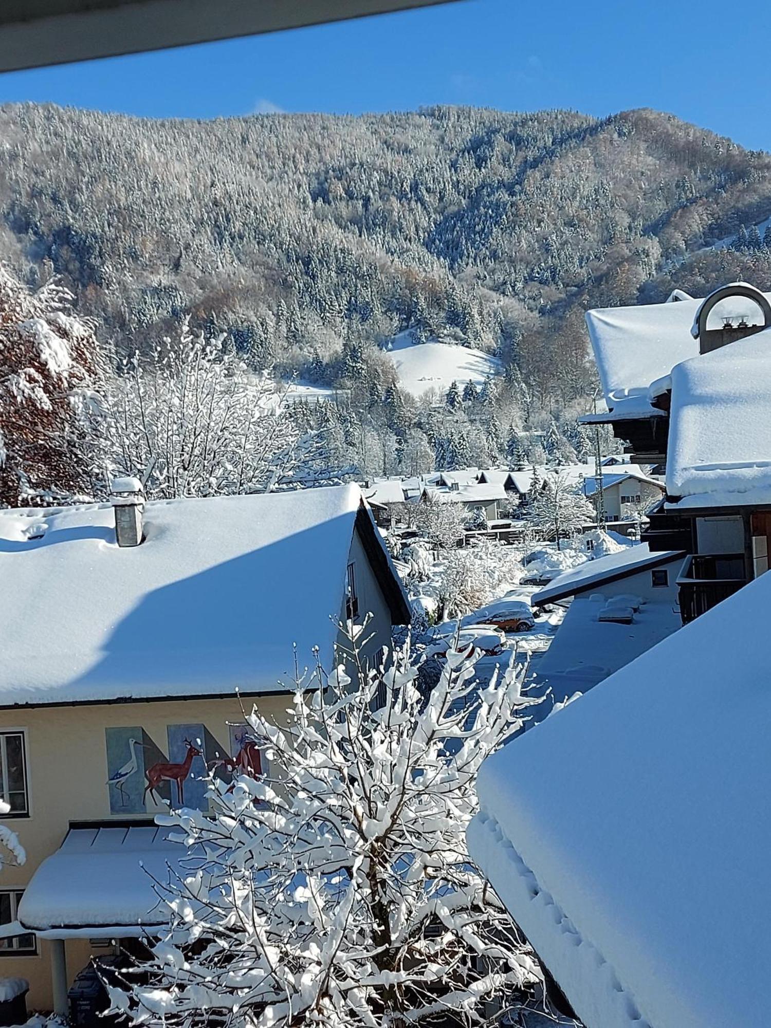 Ferienwohnungen Schneiderhaeusl Inkl. Chiemgaukarte Ruhpolding Exterior foto
